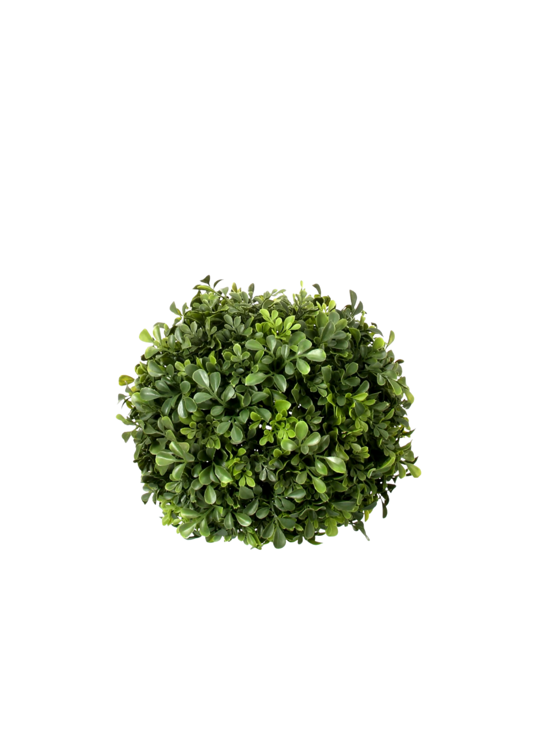 Plante artificielle Buis anglais