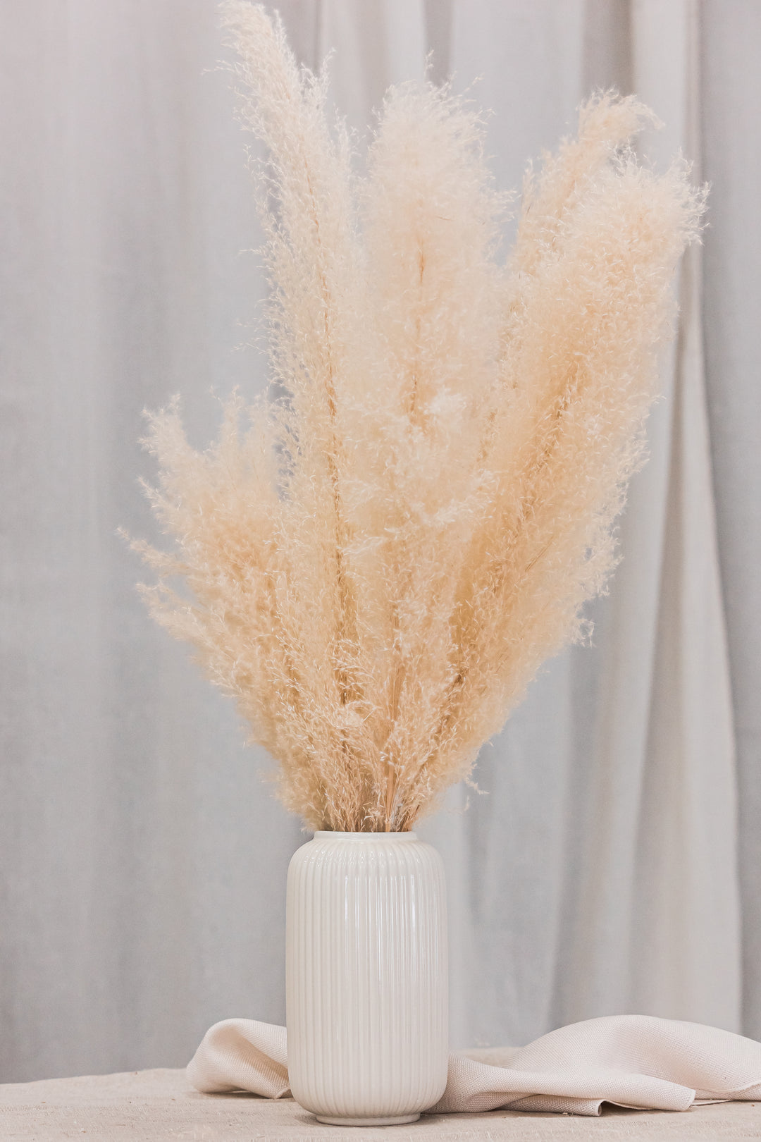 Pampas