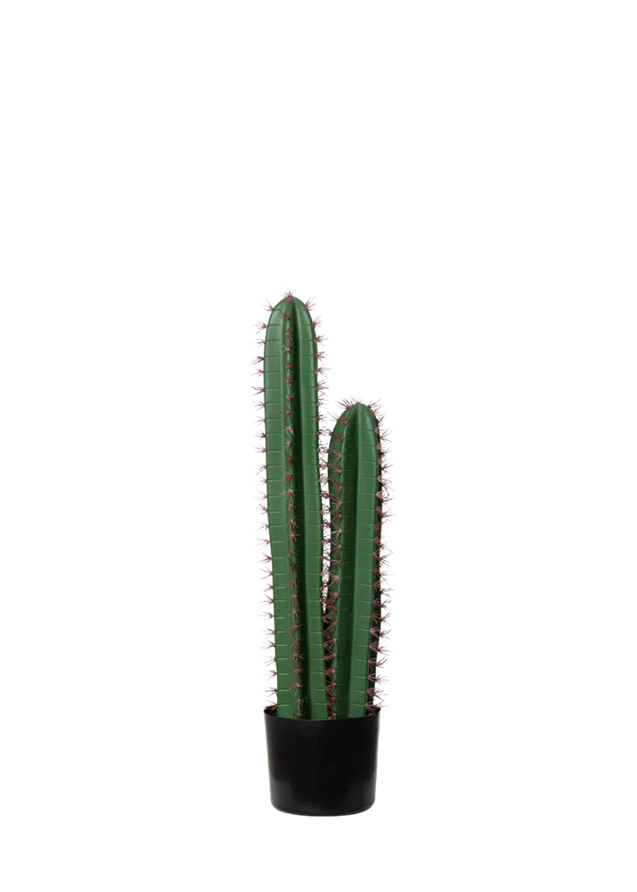 Cactus artificiel