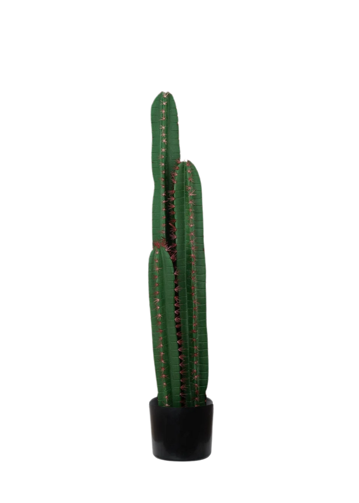 Cactus artificiel