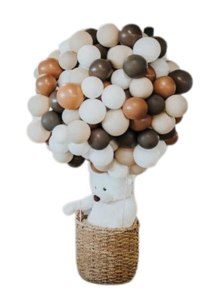 Montgolfière