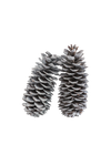 Pomme de pin blanche