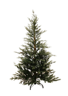 Sapin Norvégien 5'