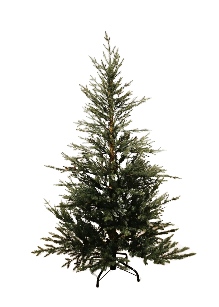 Sapin Norvégien 5'
