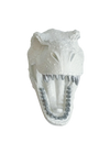 Tête de dinosaure