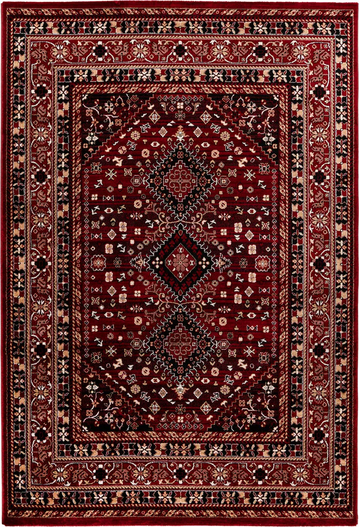 Tapis oriental 170 x 230cm