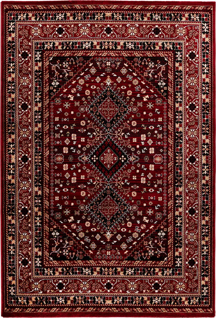 Tapis oriental 170 x 230cm