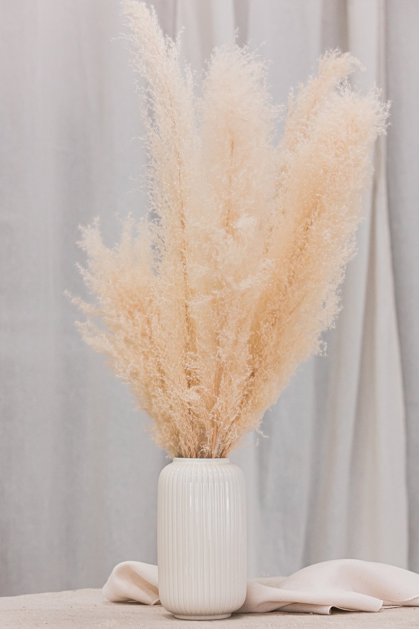 Pampas