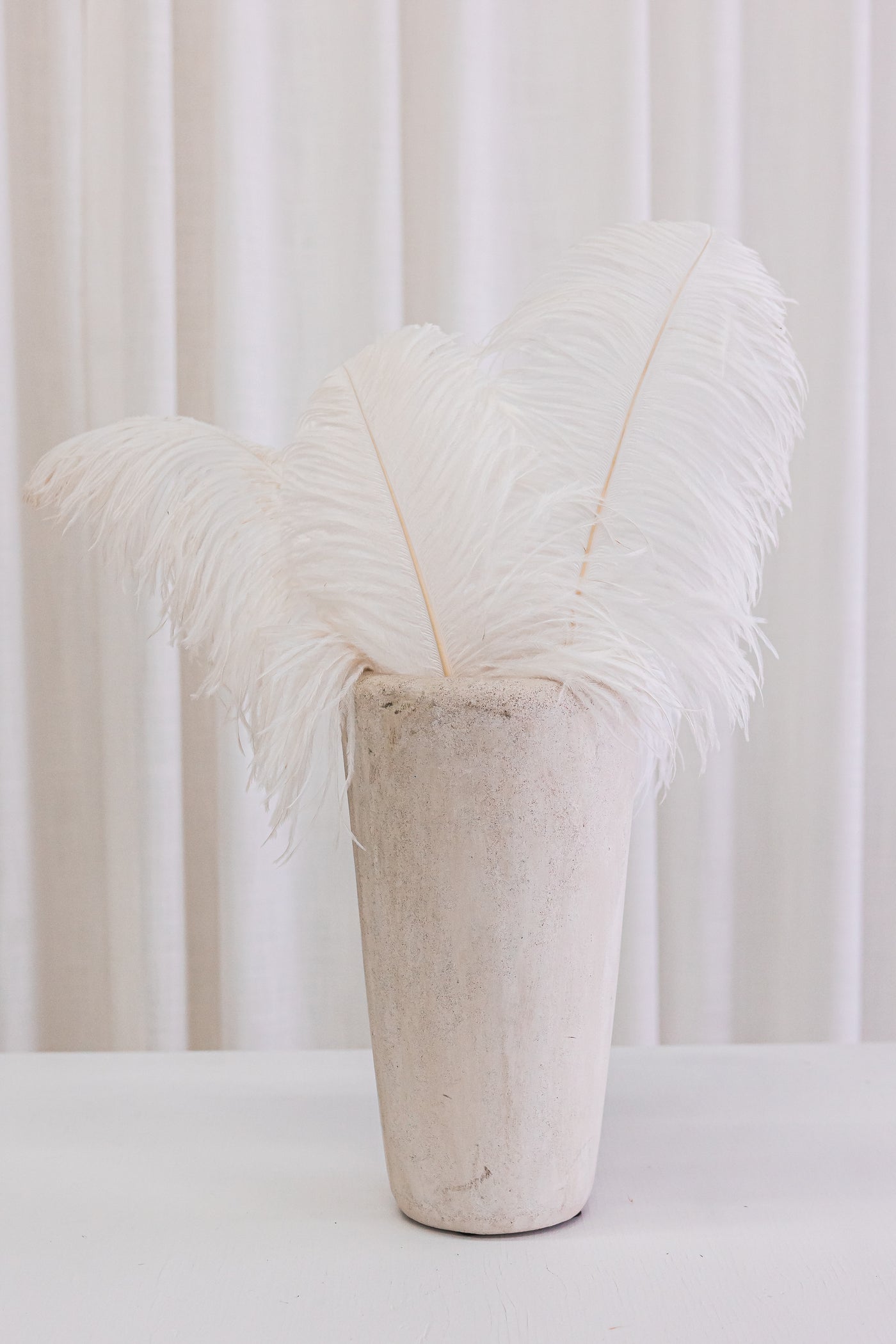 Plume d'autruche blanche
