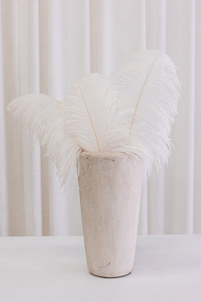 Plume d'autruche blanche