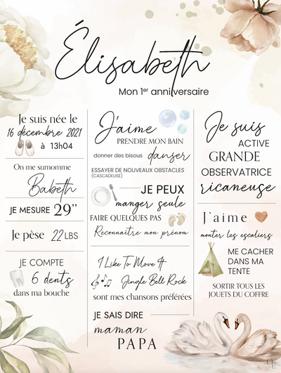Affiches anniversaire